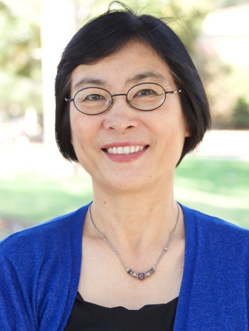 Professor Min ZHOU