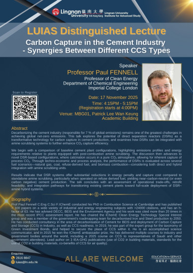 Carbon Capture in the Cement Industry - Synergies Between Different CCS Types