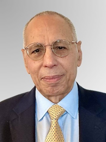 Prof Elsayed A. ELSAYED