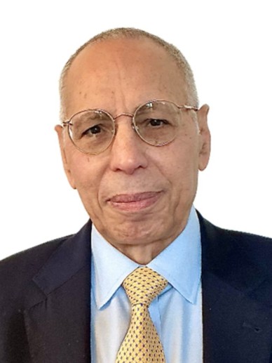 Professor Elsayed A. ELSAYED