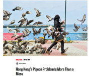 Student NAYILA Jialin’s article "Hong Kong’s Pigeon Problem is More Than a Mess" has been published in International Political Digest