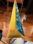 展现 SEIM 卓越风采：SEIM 学生荣获 2026 岭南—元培 STEM 暑期学院冠军