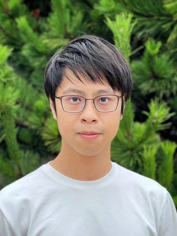 Professor WONG Ho Chun, Frankie